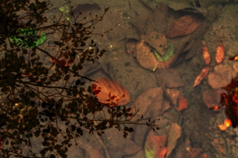 herculane oct 2011 041_resize