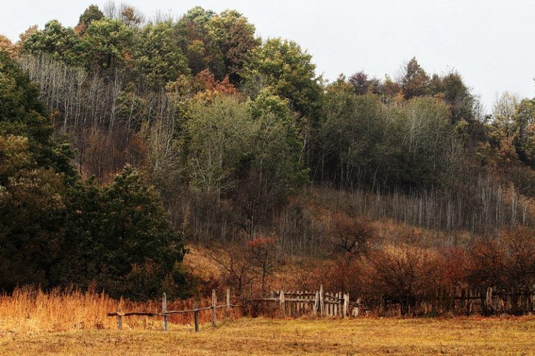 herculane oct 2011 176_resize