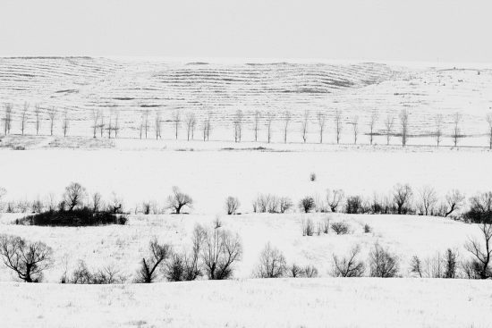 oltenia_ian_2010_58_resize