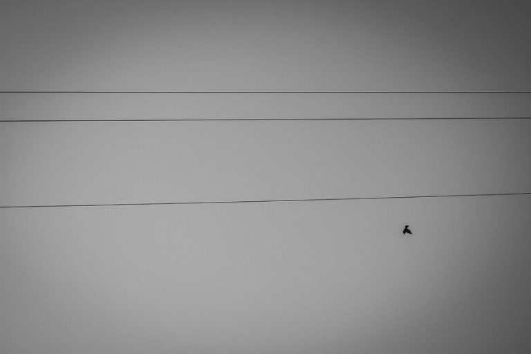 Delta2012_ 045_resize