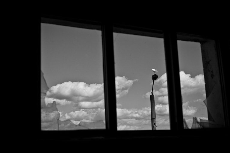 Delta2012-3_100_resize